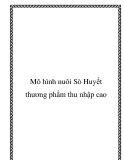 Mô hình nuôi Sò Huyết thương phẩm thu nhập cao