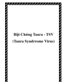 Hội Chứng Taura - TSV (Taura Syndrrome Virus)