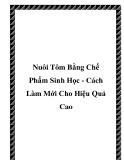 Nuôi Tôm Bằng Chế Phẩm Sinh Học - Cách Làm Mới Cho Hiệu Quả Cao