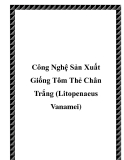 Công Nghệ Sản Xuất Giống Tôm Thẻ Chân Trắng (Litopenaeus Vanamei)