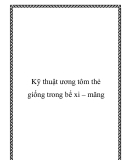 Kỹ thuật ương tôm thẻ giống trong bể xi – măng