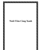 Nuôi Tôm Càng Xanh