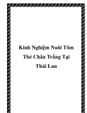 Các kinh Nghiệm Nuôi Tôm Thẻ Chân Trắng Tại Thái Lan