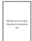 Mô hình nuôi cá lóc Nhím bằng thức ăn viên đạt hiệu quả