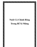 Nuôi Cá Chình Bông Trong Bể Xi Măng