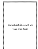 Cách nhận biết cá Anh Vũ và cá Dầm Xanh