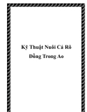 Kỹ Thuật Nuôi Cá Rô Đồng Trong Ao