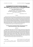 BÁO CÁO "  KẾT QUẢ NGHIÊN CỨU CÁC GIAI ĐOẠN PHÁT TRIỂN CỦA TUYẾN SINH DỤC TRAI TAI TƯỢNG VẨY (Tridacna squamosa Lamarck, 1819) BẰNG PHƯƠNG PHÁP MÔ HỌC "