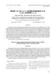 BÁO CÁO "  ẢNH HƯỞNG CỦA TRỒNG XEN CÂY MẠCH MÔN VÀ PHÂN BÓN ĐẾN CỎ DẠI, SÂU BỆNH HẠI TRÊN VƯỜN CHÈ NON "