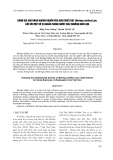 BÁO CÁO " ĐÁNH GIÁ KHẢ NĂNG KHÁNG KHUẨN CỦA DỊCH CHIẾT HẠT Moringa oleifera Lam. ĐỐI VỚI MỘT SỐ VI KHUẨN TRONG NƯỚC THẢI CHUỒNG NUÔI LỢN "