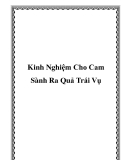 Kinh Nghiệm Cho Cam Sành Ra Quả Trái Vụ