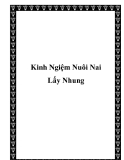 Kinh Ngiệm Nuôi Nai Lấy Nhung