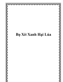 Bọ Xít Xanh Hại Lúa