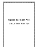 Nguyên Tắc Chăn Nuôi Gà An Toàn Sinh Học