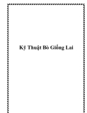 Kỹ Thuật Bò Giống Lai