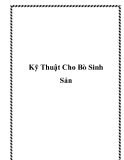 Kỹ Thuật Cho Bò Sinh Sản