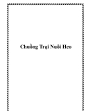 Chuồng Trại Nuôi Heo