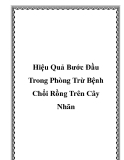 Hiệu Quả Bước Đầu Trong Phòng Trừ Bệnh Chổi Rồng Trên Cây Nhãn