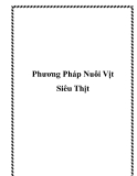 Phương Pháp Nuôi Vịt Siêu Thịt