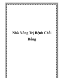 Nhà Nông Trị Bệnh Chổi Rồng