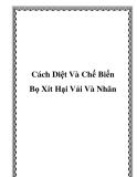 Cách Diệt Và Chế Biến Bọ Xít Hại Vải Và Nhãn