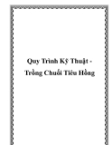 Quy Trình Kỹ Thuật Trồng Chuối Tiêu Hồng