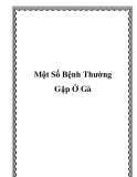 Một Số Bệnh Thường Gặp trên Gà