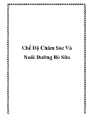 Chế Độ Chăm Sóc Và Nuôi Dưỡng Bò Sữa