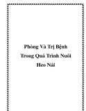 Phòng Và Trị Bệnh Trong Quá Trình Nuôi Heo Nái