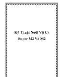 Kỹ Thuật Nuôi Vịt Cv Super M2 Và M2