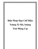 Biện Pháp Hạn Chế Hiện Tượng Xì Mủ, Sượng Trái Măng Cụt