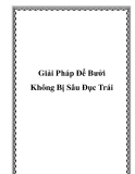 Giải Pháp Để Bưởi Không Bị Sâu Đục Trái