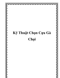 Kỹ Thuật Chọn Cựa Gà Chọi