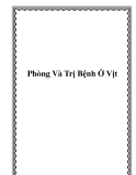 Phòng Và Trị Bệnh Ở Vịt