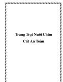 Trang Trại Nuôi Chim Cút An Toàn