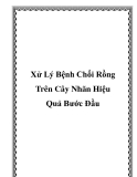 Xử Lý Bệnh Chổi Rồng Trên Cây Nhãn Hiệu Quả Bước Đầu