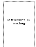 Kỹ Thuật Nuôi Vịt - Cá Lúa Kết Hợp