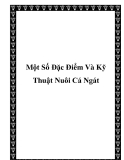 Một Số Đặc Điểm Và Kỹ Thuật Nuôi Cá Ngát