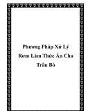 Phương Pháp Xử Lý Rơm Làm Thức Ăn Cho Trâu Bò