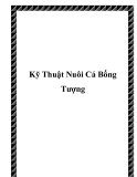 Các kỹ Thuật Nuôi Cá Bống Tượng cho nhà nông