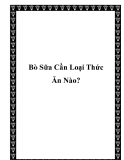 Bò Sữa Cần Loại Thức Ăn Nào?