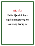 Đề tài: Nhiên liệu sinh học nguồn năng lượng tái tạo trong tương lai