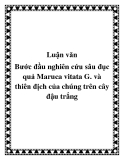 Bước đầu nghiên cứu sâu đục quả Maruca vitata G. và thiên địch của chúng trên cây đậu trắng