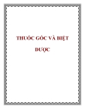 THUỐC GỐC VÀ BIỆT DƯỢC