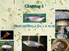 Dinh dưỡng của cá nuôi