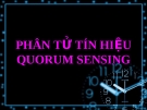 PHÂN TỬ TÍN HIỆU QUORUM SENSING