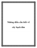 Những điều cần biết về cây bạch đàn