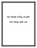 Kỹ thuật trồng cà phê cho năng suất cao