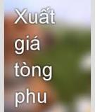 Xuất giá tòng phu