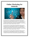 Online Marketing for domestic